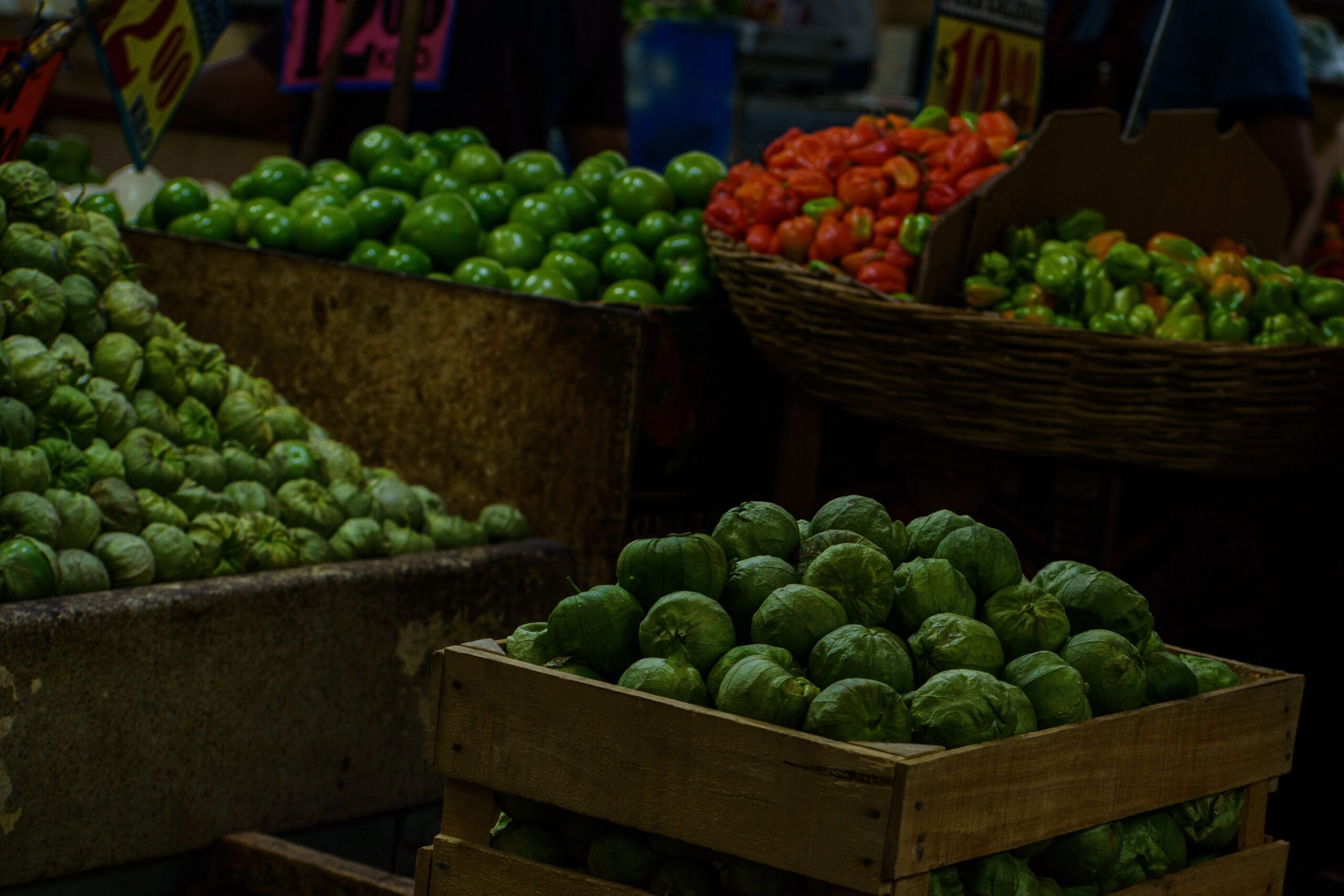 mexico9